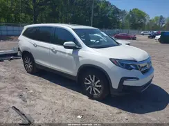5FNYF5H57KB038019 2019 HONDA PILOT
