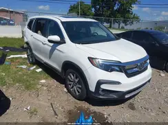 5FNYF5H58KB039440 2019 HONDA PILOT