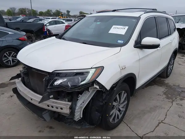 5FNYF5H59KB024414 2019 HONDA PILOT - Image 2