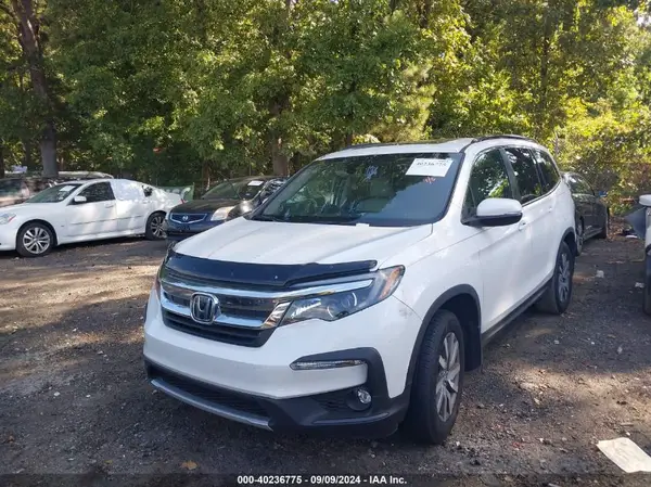 5FNYF5H59MB011651 2021 HONDA PILOT - Image 2