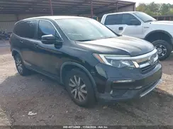 5FNYF5H5XKB023384 2019 HONDA PILOT