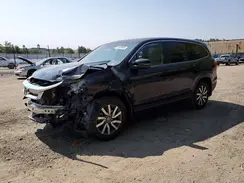 5FNYF5H5XKB031517 2019 HONDA PILOT