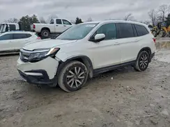 5FNYF5H5XKB039956 2019 HONDA PILOT