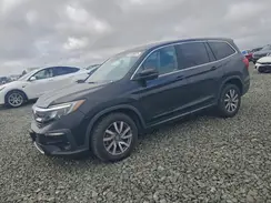 5FNYF5H5XLB023998 2020 HONDA PILOT