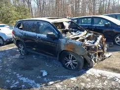 5FNYF5H61GB045693 2016 HONDA PILOT