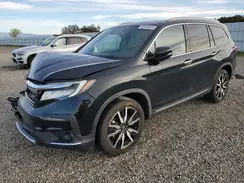 5FNYF5H98KB009082 2019 HONDA PILOT