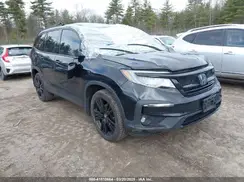 5FNYF6H00MB504287 2021 HONDA PILOT