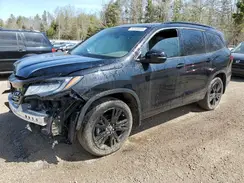 5FNYF6H03KB504491 2019 HONDA PILOT