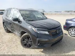 5FNYF6H03MB504607 2021 HONDA PILOT