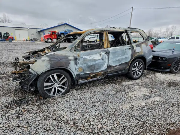 5FNYF6H05HB099548 2017 HONDA PILOT - Image 1