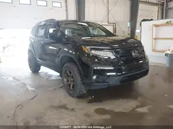 5FNYF6H06KB501987 2019 HONDA PILOT