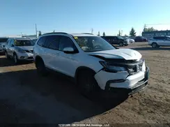 5FNYF6H07LB504950 2020 HONDA PILOT