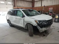 5FNYF6H20MB019570 2021 HONDA PILOT