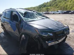 5FNYF6H23NB047591 2022 HONDA PILOT