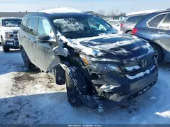 5FNYF6H24MB013531 2021 HONDA PILOT