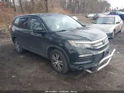 5FNYF6H31GB050419 2016 HONDA PILOT