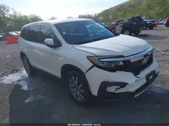 5FNYF6H31KB076088 2019 HONDA PILOT