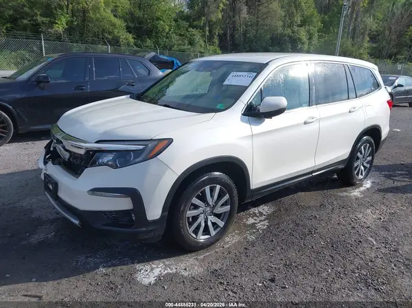 5FNYF6H31KB076088 2019 HONDA PILOT - Image 2