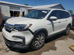 5FNYF6H31KB081310 2019 HONDA PILOT