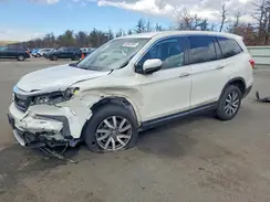 5FNYF6H32KB025554 2019 HONDA PILOT