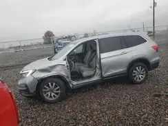 5FNYF6H35MB031013 2021 HONDA PILOT