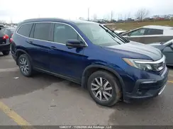 5FNYF6H37MB505169 2021 HONDA PILOT