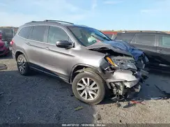 5FNYF6H38KB101343 2019 HONDA PILOT