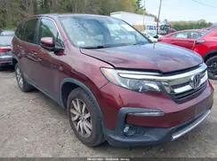 5FNYF6H44KB051517 2019 HONDA PILOT