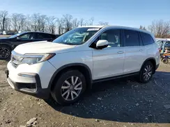 5FNYF6H50KB048834 2019 HONDA PILOT