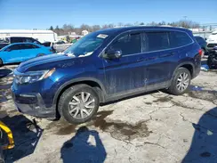 5FNYF6H50KB097354 2019 HONDA PILOT