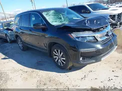 5FNYF6H50MB081996 2021 HONDA PILOT