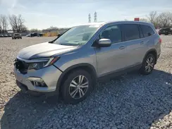 5FNYF6H51GB007135 2016 HONDA PILOT