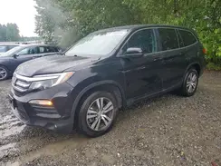 5FNYF6H51GB101077 2016 HONDA PILOT