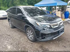 5FNYF6H51KB015552 2019 HONDA PILOT
