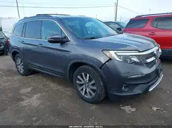 5FNYF6H51KB023523 2019 HONDA PILOT