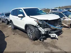 5FNYF6H51KB031783 2019 HONDA PILOT