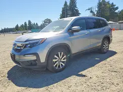 5FNYF6H51KB101749 2019 HONDA PILOT