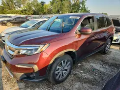 5FNYF6H51LB019392 2020 HONDA PILOT