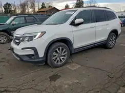 5FNYF6H51MB031365 2021 HONDA PILOT