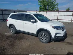 5FNYF6H51NB087422 2022 HONDA PILOT