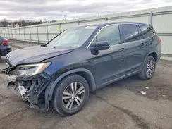 5FNYF6H52GB067604 2016 HONDA PILOT