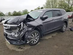 5FNYF6H52KB021134 2019 HONDA PILOT