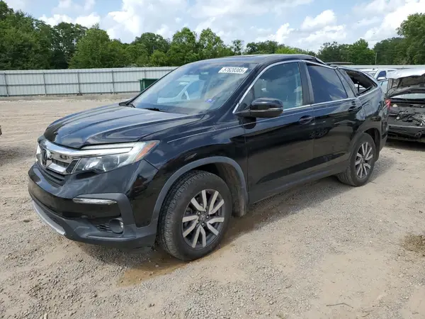 5FNYF6H52KB030450 2019 HONDA PILOT - Image 1