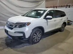5FNYF6H52KB050116 2019 HONDA PILOT