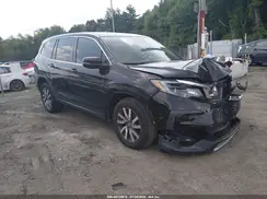 5FNYF6H52KB101064 2019 HONDA PILOT
