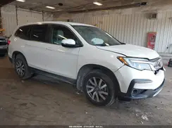 5FNYF6H53KB039061 2019 HONDA PILOT