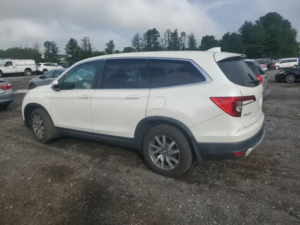 5FNYF6H53KB086557 2019 HONDA PILOT - Image 2