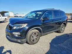 5FNYF6H54GB004519 2016 HONDA PILOT