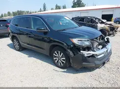 5FNYF6H54KB036802 2019 HONDA PILOT