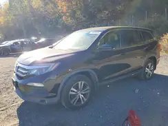 5FNYF6H55GB037562 2016 HONDA PILOT